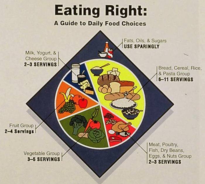 Food Pie Chart Usda