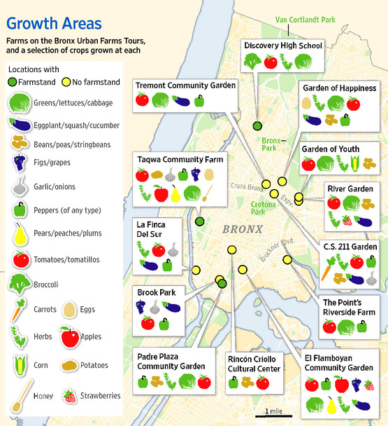 Food And Nutrition Research Job New York City Food And Nutrition Research Job New York City