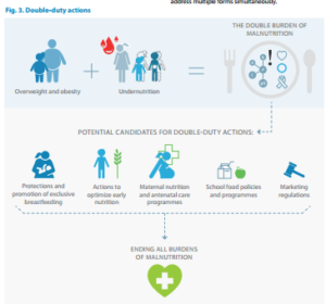 WHO resources for ending the double burden of malnutrition (under- and ...