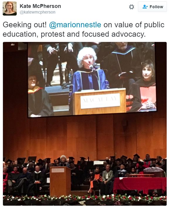 Macaulay honors essay sample image