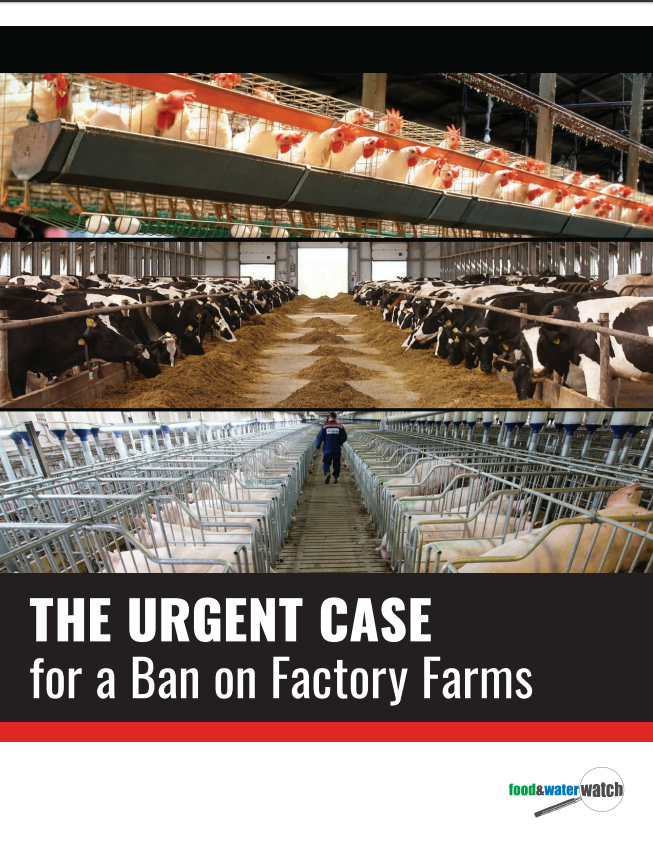 CAFOs(Concentrated Animal Feeding Operations) Archives Food Politics