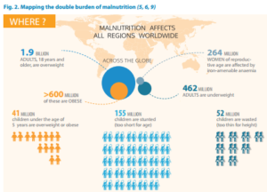 WHO resources for ending the double burden of malnutrition (under- and ...