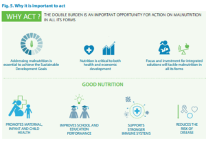 WHO resources for ending the double burden of malnutrition (under- and ...
