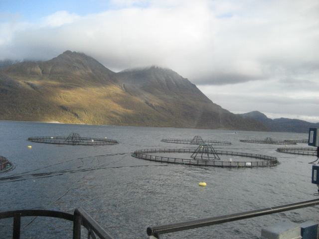 My quick visit to a salmon farm in Norway: a brief report - Food Politics by Marion Nestle